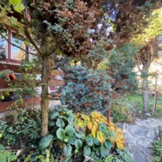 Prodej chaty 16 m² Litovel, Koupaliště