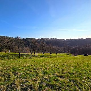 Prodej zahrady 330 m&sup2; Vyškov