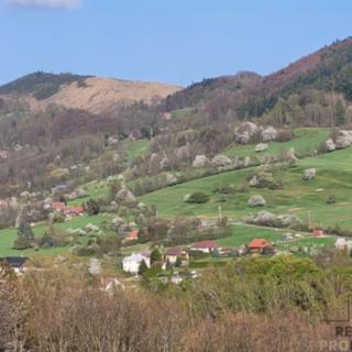 Prodej ostatního pozemku 2 027 m² Rusava