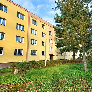 Prodej bytu 2+1 56 m² Karviná Ráj, Horova