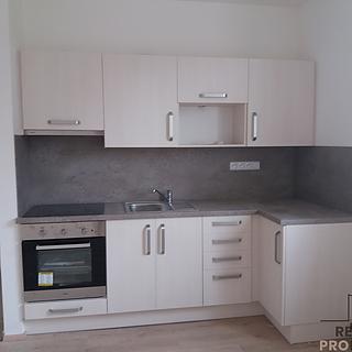 Pronájem bytu 3+kk 71 m² Ledenice, Náměstí