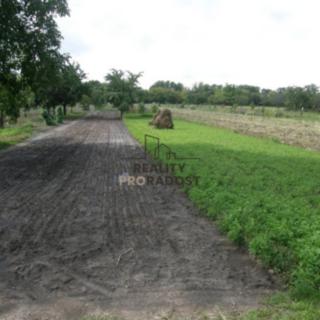 Prodej stavební parcely 1 227 m² Lužice