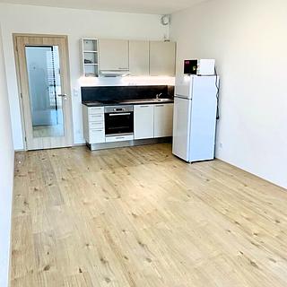 Pronájem bytu 1+kk a garsoniéry 35 m² Praha Háje, Jurkovičova