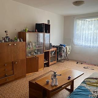 Prodej bytu 2+1 60 m² Ústí nad Labem Mojžíř, Jindřicha Plachty