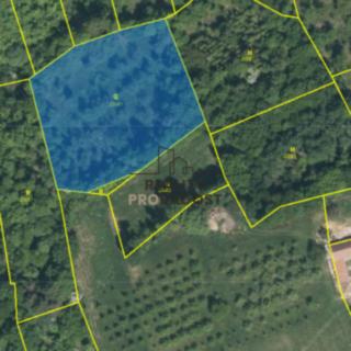 Prodej ostatního pozemku 4 253 m² Koryčany