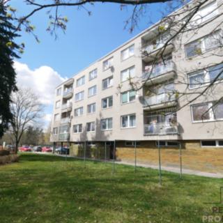 Prodej bytu 3+1 74 m² Hradec Králové Nový, Na Občinách