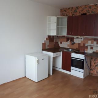 Pronájem bytu 1+kk a garsoniéry 20 m² Děčín II-Nové Město, Kamenická