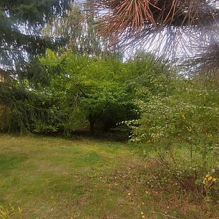 Prodej stavební parcely 751 m² Nové Sady