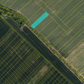 Prodej zemědělské půdy 15 m² Loukov