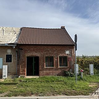 Prodej vinného sklepa 35 m² Hrušky