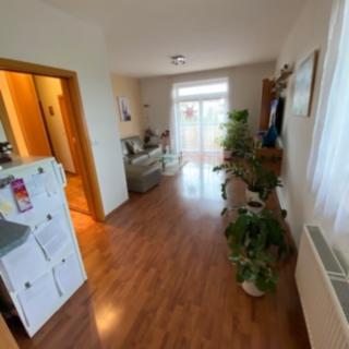 Pronájem bytu 3+kk 112 m² Olomouc Nová Ulice, Mošnerova