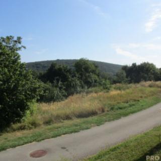 Prodej stavební parcely 1306 m² Radějov