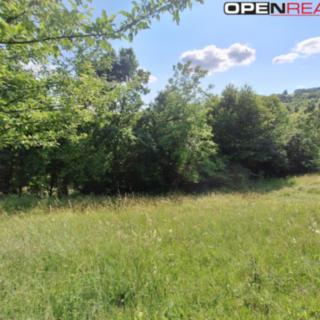 Prodej rodinného domu 80 m² Žítková