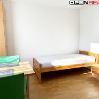 Pronájem bytu 1+kk a garsoniéry 16 m² Velká Bíteš Březka
