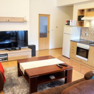 Pronájem bytu 2+kk 60 m² Brno