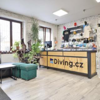 Pronájem obchodu 130 m² Brno Husovice, Dukelská třída