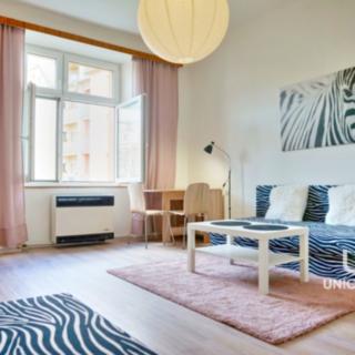 Pronájem bytu 1+1 36 m² Brno Černovice, Klíčova