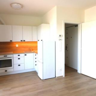 Pronájem bytu 1+kk, garsoniery 40 m² Brno
