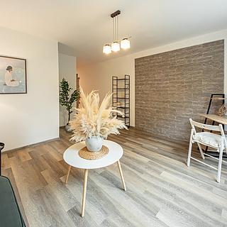 Prodej bytu 3+1 76 m² České Budějovice 3, Lipenská