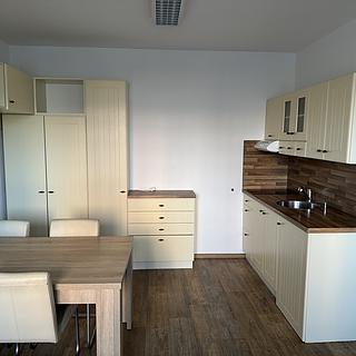 Pronájem bytu 2+kk 42 m² České Budějovice 2, K. Chocholy