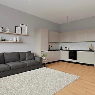 Pronájem bytu 2+kk 46 m² České Budějovice