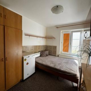 Pronájem bytu 1+kk a garsoniéry 18 m² České Budějovice 3, Jar. Haška