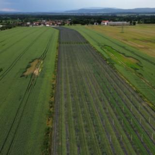 Prodej zemědělského objektu 32 904 m² Čejkovice