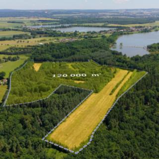 Prodej komerčního pozemku 121 779 m² Čejkovice