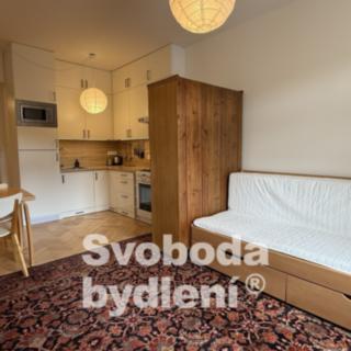 Pronájem bytu 1+kk a garsoniéry 25 m² Praha Břevnov, Nad Závěrkou