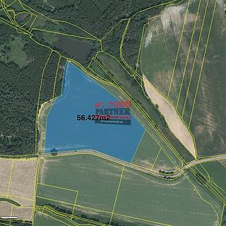 Prodej zemědělské půdy 116059 m&sup2; Chotoviny