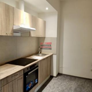 Pronájem bytu 1+kk a garsoniéry 22 m² Lštění Zlenice, Míru