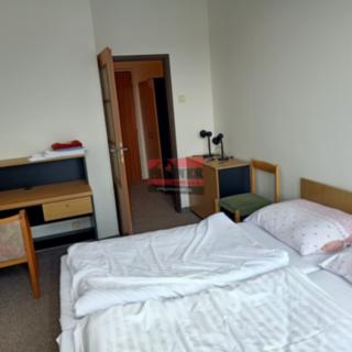 Pronájem bytu 1+kk a garsoniéry 20 m² Lštění Zlenice, Míru