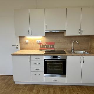 Pronájem bytu 1+1 39 m² Planá nad Lužnicí