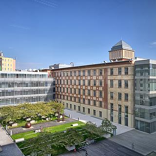 Pronájem kanceláře 226 m² Praha Holešovice, Jankovcova