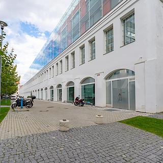 Pronájem kanceláře 1 000 m² Praha Karlín, Křižíkova