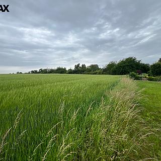 Prodej zemědělské půdy 18159 m&sup2; Krupá