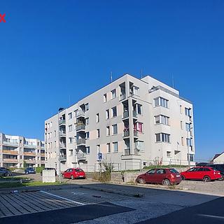 Pronájem bytu 3+kk 76 m² Velký Osek, U hřiště