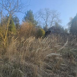 Prodej zahrady 549 m&sup2; Kolín