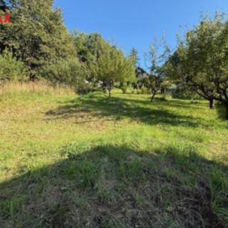 Prodej zahrady 380 m² Albrechtice