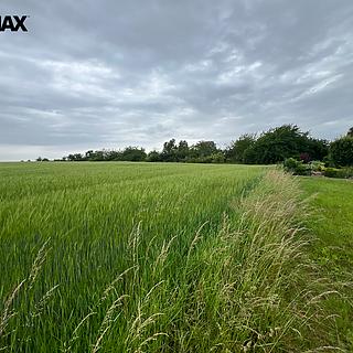 Prodej zemědělské půdy 18 159 m² Krupá Syneč