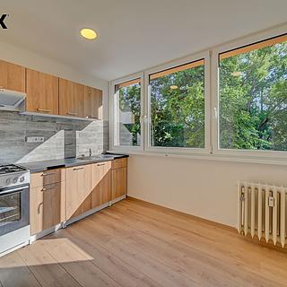 Pronájem bytu 1+1 31 m² Kolín II, Dělnická