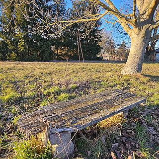 Prodej zahrady 346 m² Kolín II