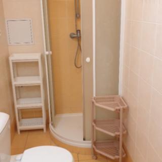Pronájem podílu pokoje 65 m² Brno