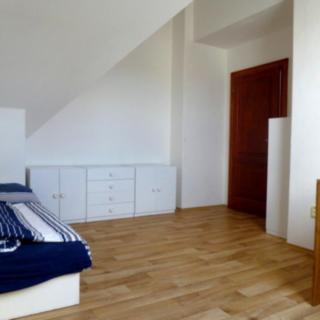 Pronájem pokoje 50 m² Opava, Gogolova