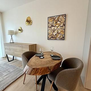 Pronájem bytu 1+kk, garsoniery 30 m² Brno