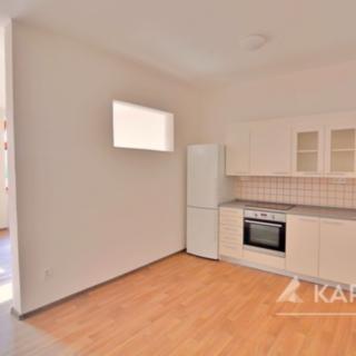 Pronájem bytu 1+kk, garsoniery, 46m²