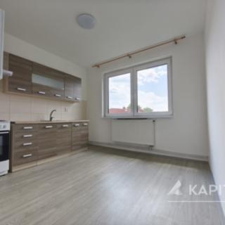 Pronájem bytu 1+1 42 m² Teplice Řetenice, Smetanova