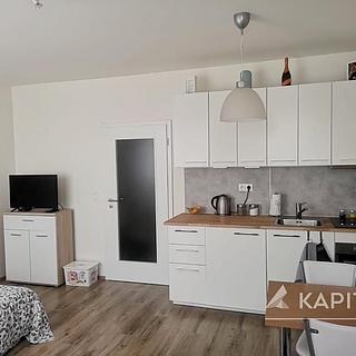 Pronájem bytu 1+kk, garsoniery 33 m² Praha