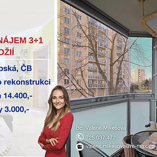 Pronájem bytu 3+1 76 m² České Budějovice 2, Labská