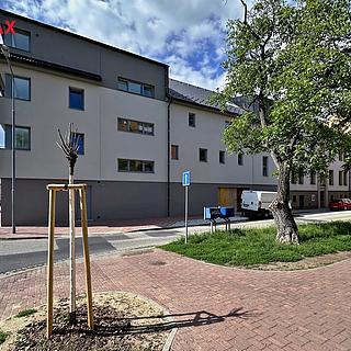 Pronájem bytu 1+kk a garsoniéry 76 m² České Budějovice 3, Lipenská